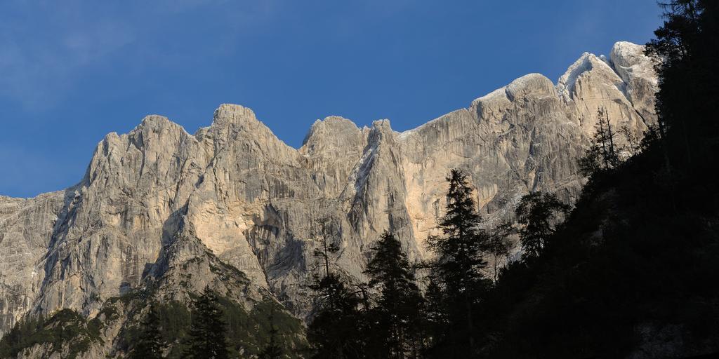 Gasthof Dorfwirt Ardning Exteriér fotografie